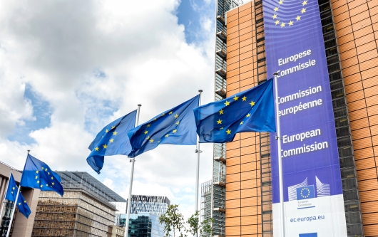 Fotografi av EU-flagg og logo